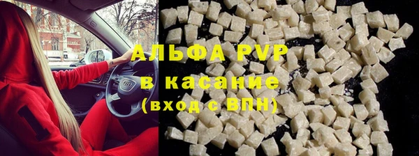 PSILOCYBIN Богородицк