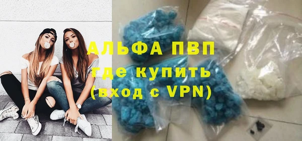 PSILOCYBIN Богородицк