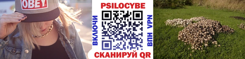 Галлюциногенные грибы мухоморы купить наркоту Нелидово